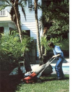 Start a Lawn Care Business Image